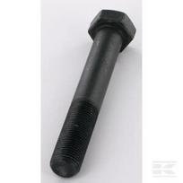 Šešiakampis varžtas M16x103 488860