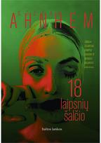 18 laipsnių šalčio. Audioknyga - Stefan Ahnhem