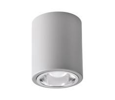 LED RGBW dimeriuojamas taškinis šviestuvas JUPITER 1xE27/6,5W/230V skers. 9,8 cm, pilkas