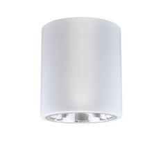 LED RGBW dimeriuojamas taškinis šviestuvas JUPITER 1xE27/6,5W/230V Ø 13 cm baltas