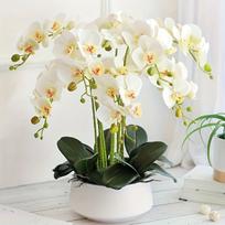 Dirbtinės orchidėjos dekoracija