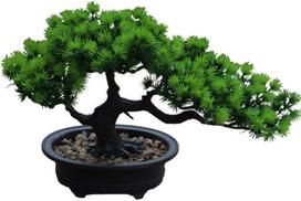 Dirbtinė pušis bonsai