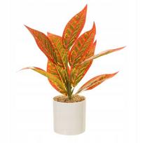 Dirbtinis augalas Aglaonema