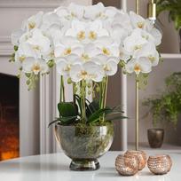 Dirbtinės orchidėjų šakos dekorui