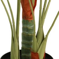Dirbtinė palmė su trimis kamienais, žalios spalvos, 85cm, PP, 85 cm