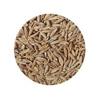 Kmynai - sveiki (romėnų kmynai) TRS, 100 g