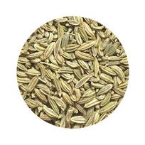 Pankolio sėklos TRS, 100 g
