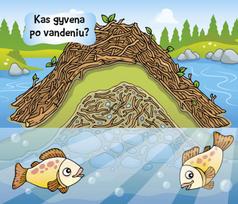 Kas namelyje gyvena? Gyvūnai