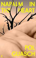 Napalm in the Heart: Innovative and original COLM TOIBIN, Napalm in the Heart: Innovative and original COLM TOIBIN
