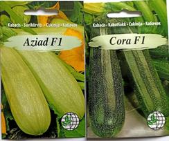 Cukinijos Asiad F1 ir Cora F1 Agrimatco