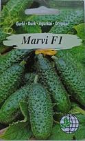 Agurkai Marvi F1