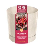 Auginimo rinkinys Paprika De Cayenne