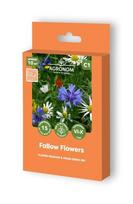 Gėlių ir žolių sėklų mišinys Agronom Fallow Flowers