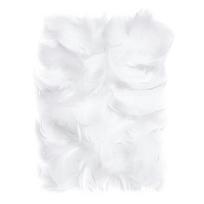 Plunksnos 5-12 cm, 10 g, baltos