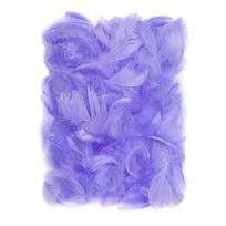 Plunksnos 5-12 cm, 10 g, violetinės