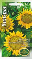 Paprastosios Saulėgrąžos Sunspot
