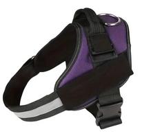 Atspindinti liemenė šunims, violetinės, XL