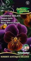 TIESIARAGĖ NAŠLAITĖ SORBET STANDART ANTIQUE SHADE