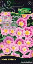 Trispalvis vijoklis Rose Ensign 1g 8922