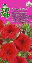 TIP TOP PETUNIJA DIDŽIAŽIEDĖ SCARLET RED