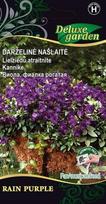 NAŠLAITĖ RAIN PURPLE