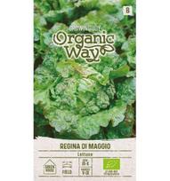 Salotos sėjamosios Regina Di Maggio Organic Way 1,0 g
