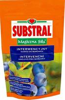 Birios trąšos šilauogėms Substral Mg 350 g
