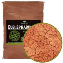 Pagrindas leopardiniam gekonui Terrario, 1 kg