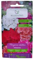 Pelargonijų sodo sumaišytas W. Legutko
