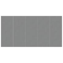 Baseino paklotas vidaXL, 550x280 cm, Pilka