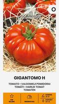 Valgomieji pomidorai Gigantomo H Žalia stotelė