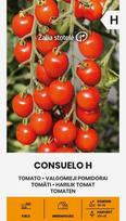 Valgomieji pomidorai Consuelo H Žalia stotelė