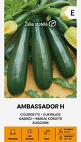 Cukinijos ambassador h