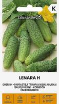 Agurkai Papr. Trumpavaisiai Lenara H