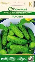 Paprastieji trumpavaisiai agurkai Puccini H