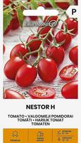 Valgomieji pomidorai Nestor H