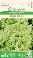 Sėjamosios salotos Grand rapids