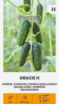 Agurkai paprasti trumpavaisiai Gracie H, 0.5 g