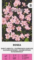 PUOŠNIOSIOS GUBOJOS ROSEA 1 G
