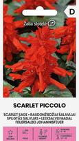 Raudonžiedžiai šalavijai Scarlet Piccolo