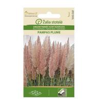 Kortaderijos Argentininės Pampas Plume rausva Žalia stotelė 0,2 g