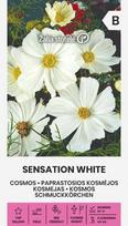PAPRASTOSIOS KOSMĖJOS SENSATION WHITE 1 G