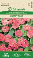 Žemosios nasturtės Cherry rose
