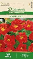Žemosios nasturtės Žalia stotelė Scarlet Jewel