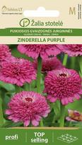 GVAIZDŪNĖS PUIKIOSIOS ZINDERELLA PURPLE „ŽALIA STOTELĖ” 20 S