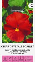 Darželinės našlaitės Clear Crystals Scarlet