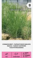 Smilgos paprastosios