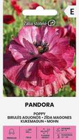 Birulės aguonos Pandora