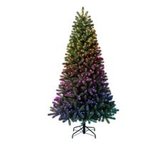 Twinkly TG70P4425P01 - LED RGBW Kalėdinė eglutė TREE 435xLED 2,1 m Wi-Fi