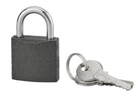 Pakabinama spyna SP Acera, 3 raktai, ketus, 30 mm, 988102